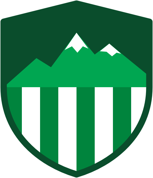 Bursa Veri Kurtarma logosu
